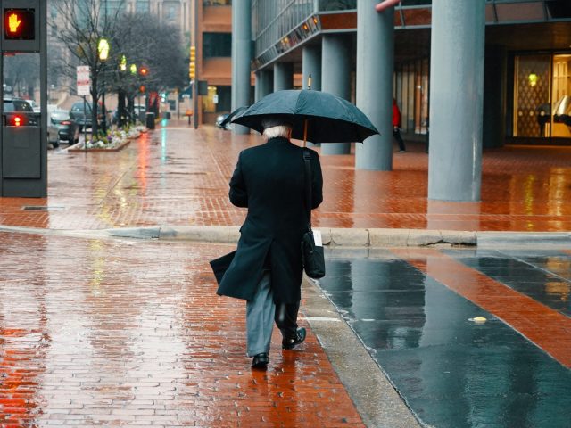 dan-formsma-1345764-unsplash